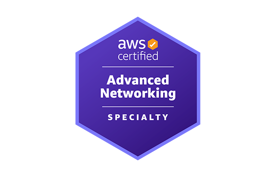 AWS Certified Advanced Networking - Specialty Exams
