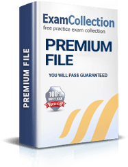 CISSP Premium File